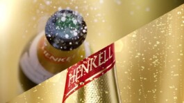 Chamaeleon Digital Vision GmbH