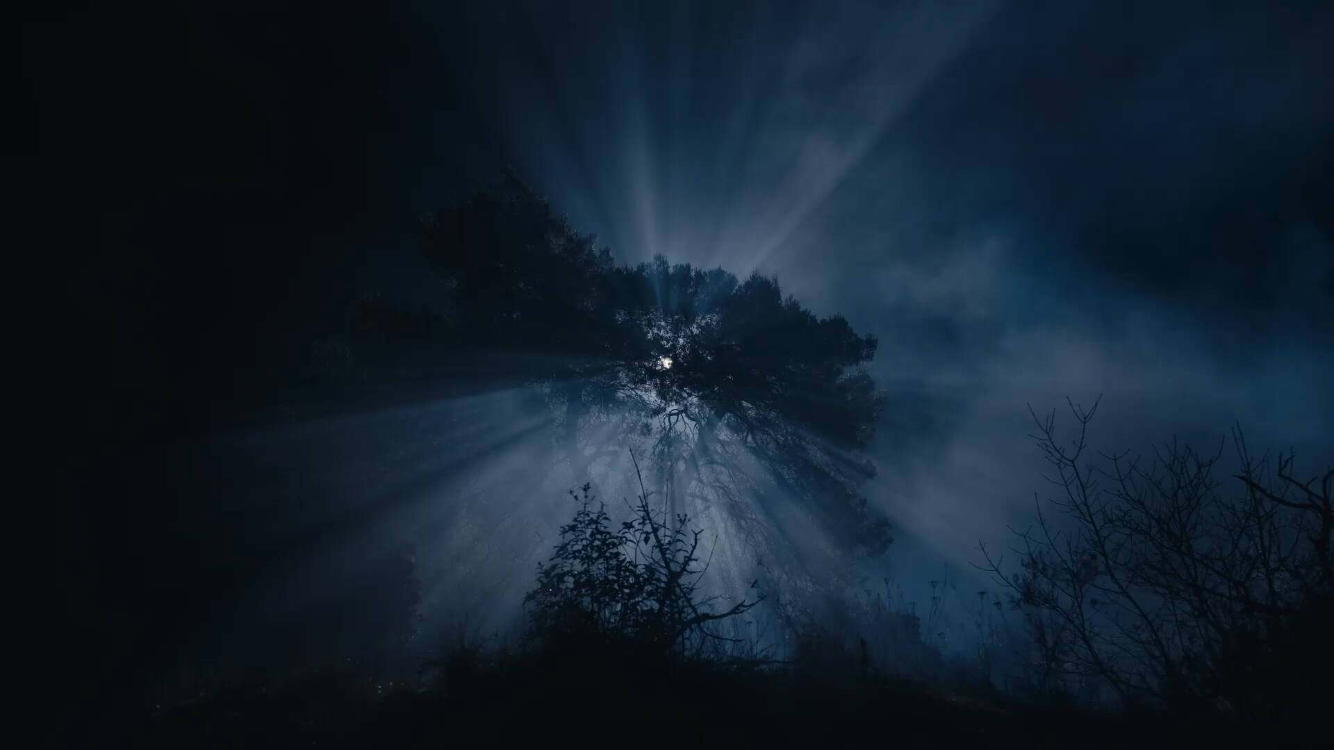 Chamaeleon Digital Vision GmbH