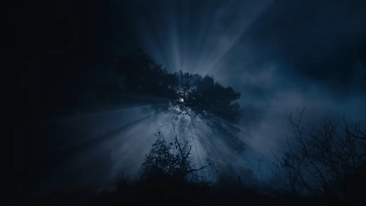 Chamaeleon Digital Vision GmbH