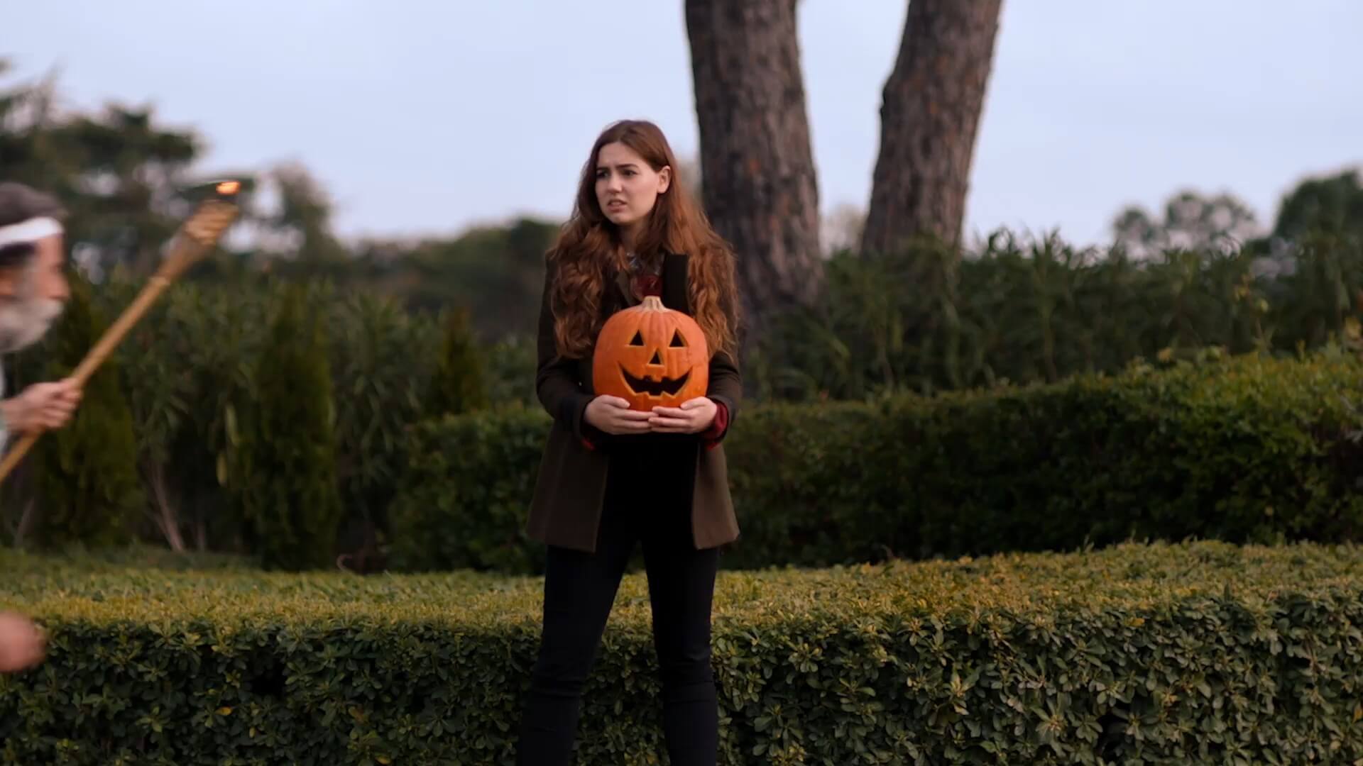 Chamaeleon Digital Vision GmbH