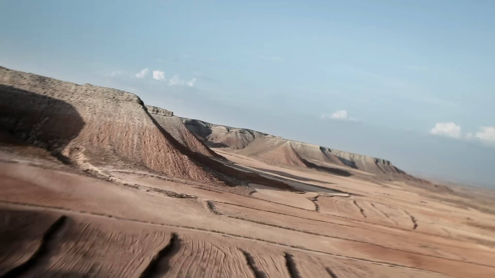 Chamaeleon Digital Vision GmbH