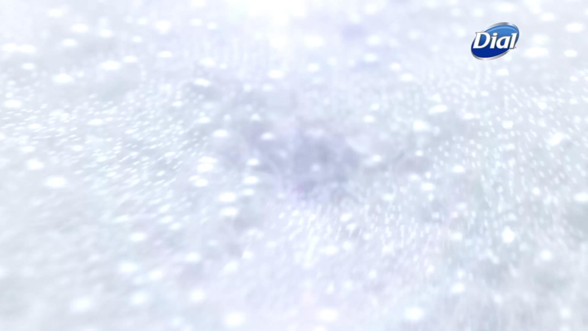 Chamaeleon Digital Vision GmbH