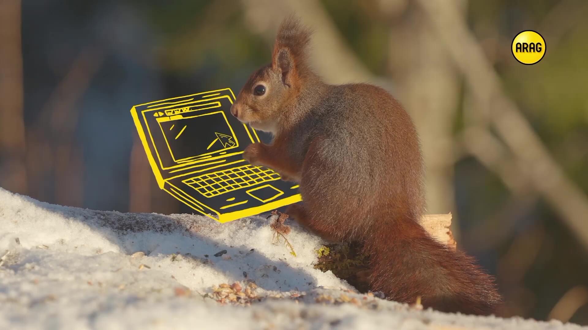 Chamaeleon Digital Vision GmbH