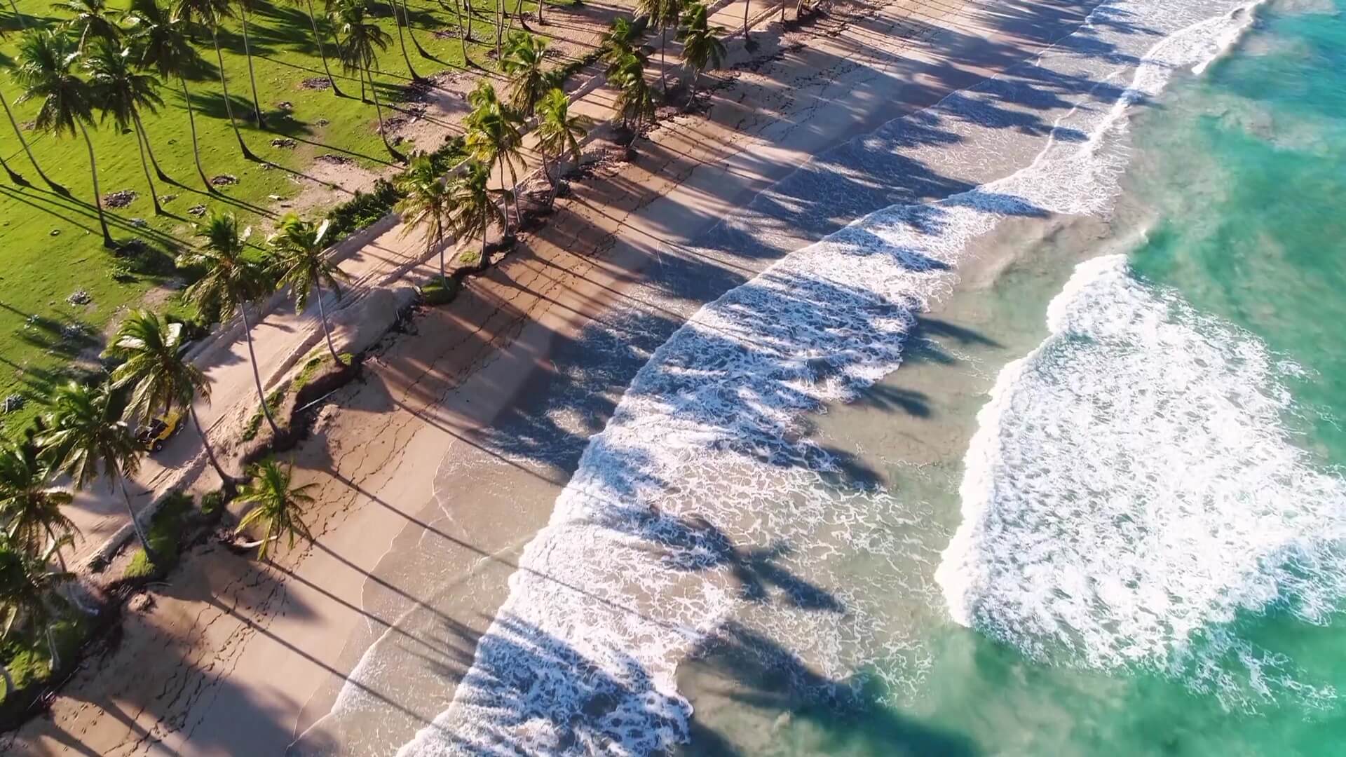 Chamaeleon Digital Vision GmbH