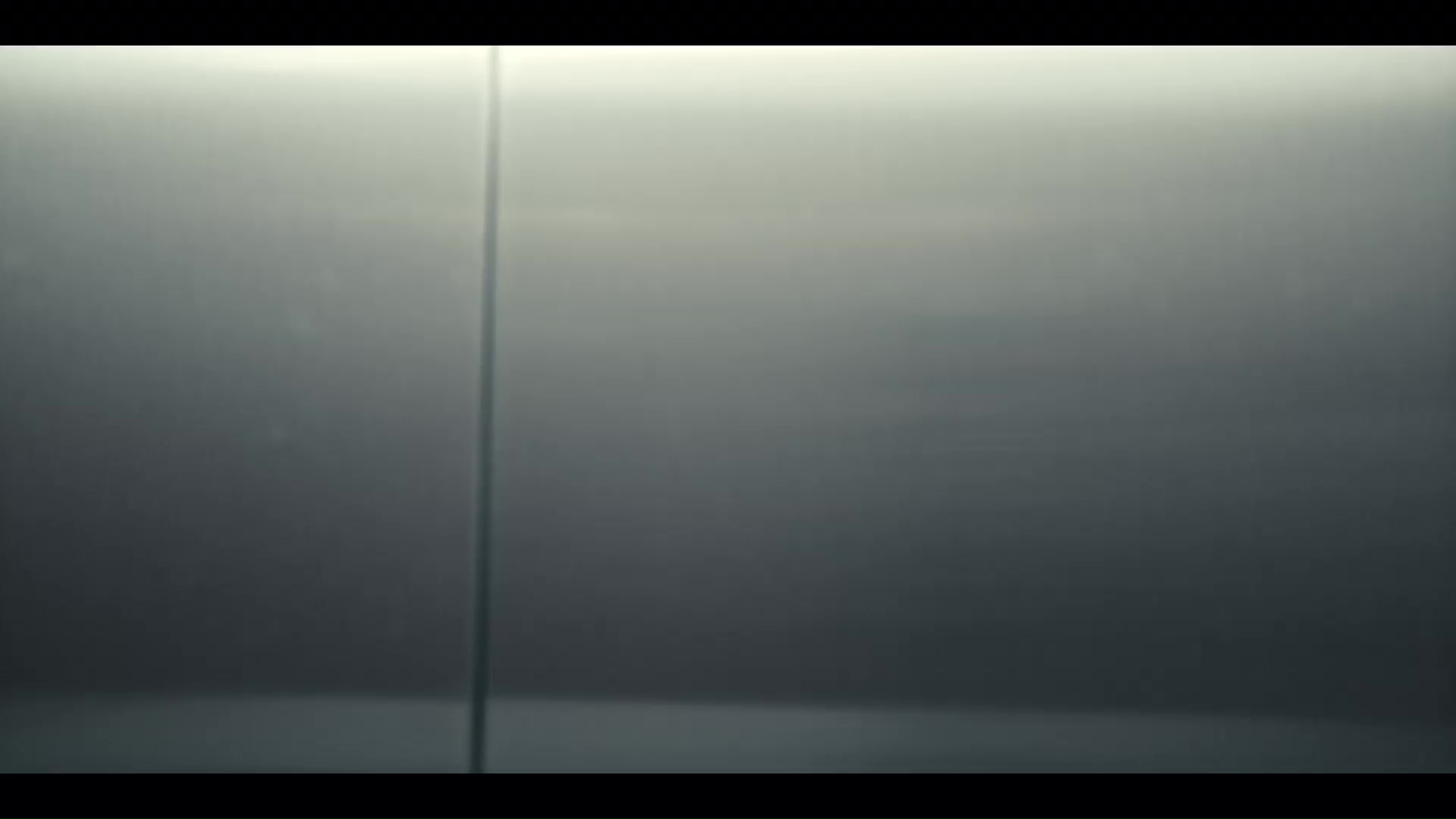 Chamaeleon Digital Vision GmbH